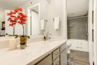 2205 Spring Creek Dr in Austin, TX - Building Photo - Building Photo