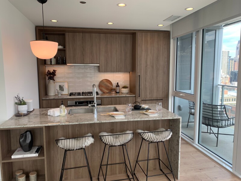 369 W Grand Ave-Unit -1405 in Chicago, IL - Building Photo