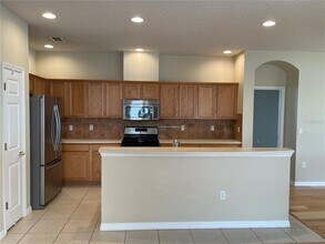13826 Amelia Pond Dr in Windermere, FL - Building Photo - Building Photo