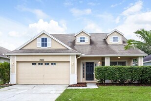 17236 Poppy Fields Ln in Land O Lakes, FL - Building Photo