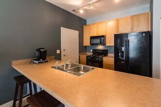 1515 S Halsted St in Chicago, IL - Building Photo - Building Photo