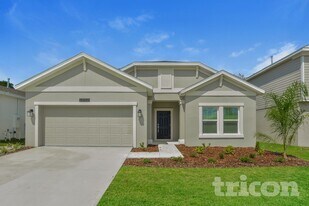 33658 Sky Blossom Cir in Leesburg, FL - Building Photo