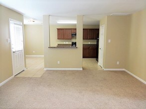 317 Misty Mountain Dr in Fort Worth, TX - Foto de edificio - Building Photo