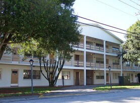 911 Washington Ave SW in Largo, FL - Building Photo
