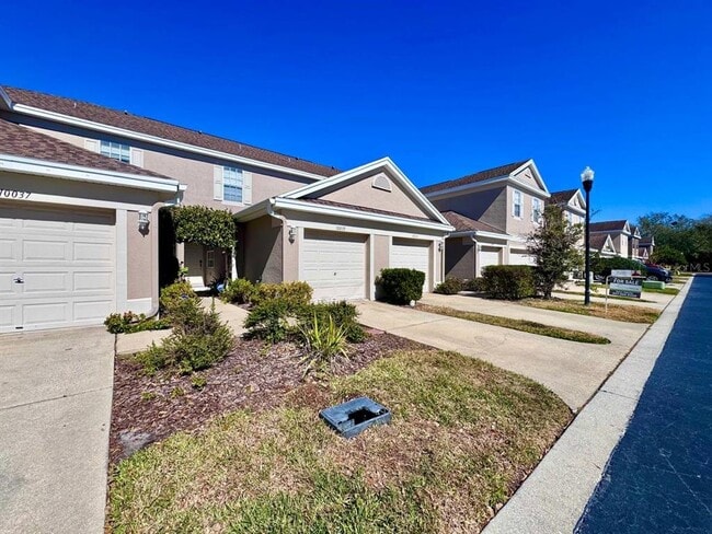 10035 Tranquility Way in Tampa, FL - Building Photo - Building Photo