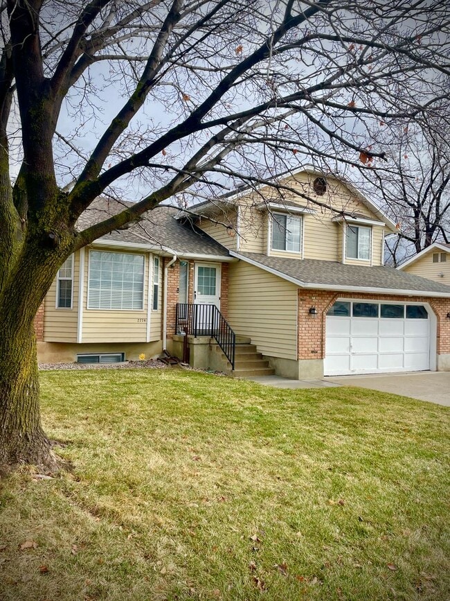 2774 N 1650 E in Layton, UT - Building Photo - Building Photo