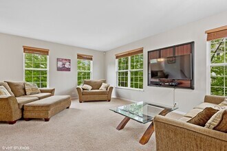 219 Cassidy Ln in Elgin, IL - Foto de edificio - Building Photo