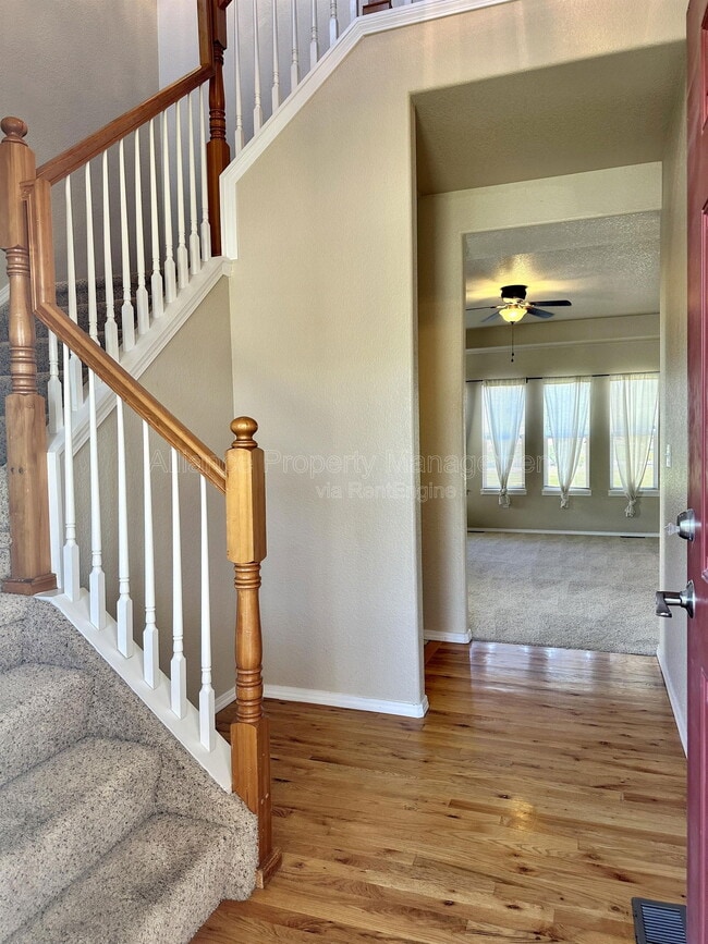 8361 Winding Passage Dr in Colorado Springs, CO - Building Photo - Building Photo