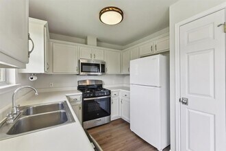 906 Jasmine Trail in Georgetown, TX - Building Photo - Building Photo