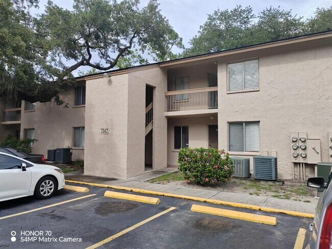 7517 Pitch Pine Cir-Unit -174 in Tampa, FL - Building Photo - Building Photo