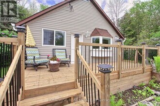 7785 Black River Rd in Georgina, ON - Building Photo - Building Photo