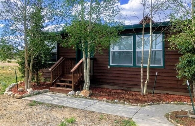 55 Fuller Dr in Fairplay, CO - Building Photo - Building Photo