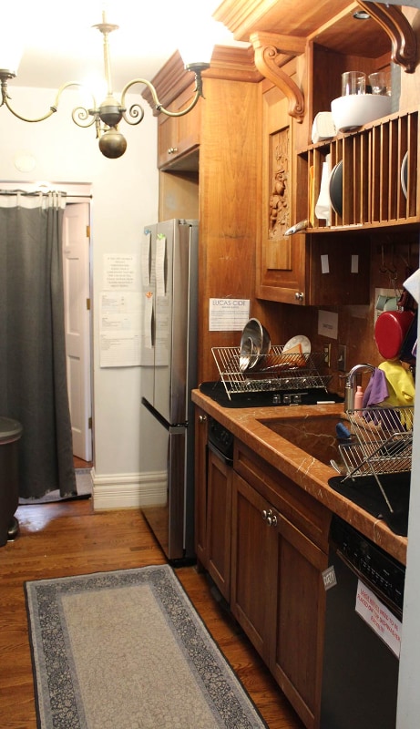 420 N Downing St in Denver, CO - Foto de edificio - Building Photo