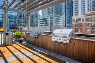 One Superior Place in Chicago, IL - Building Photo - Building Photo