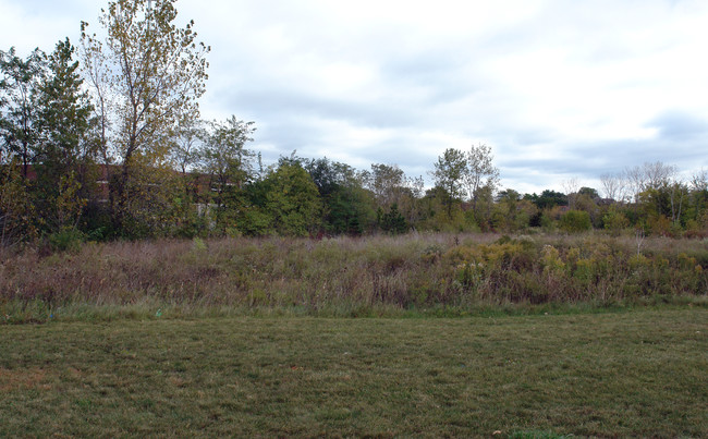 Zurich Meadows in Lake Zurich, IL - Building Photo - Building Photo