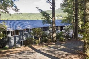 48 Little Bear Dr in Sky Valley, GA - Building Photo