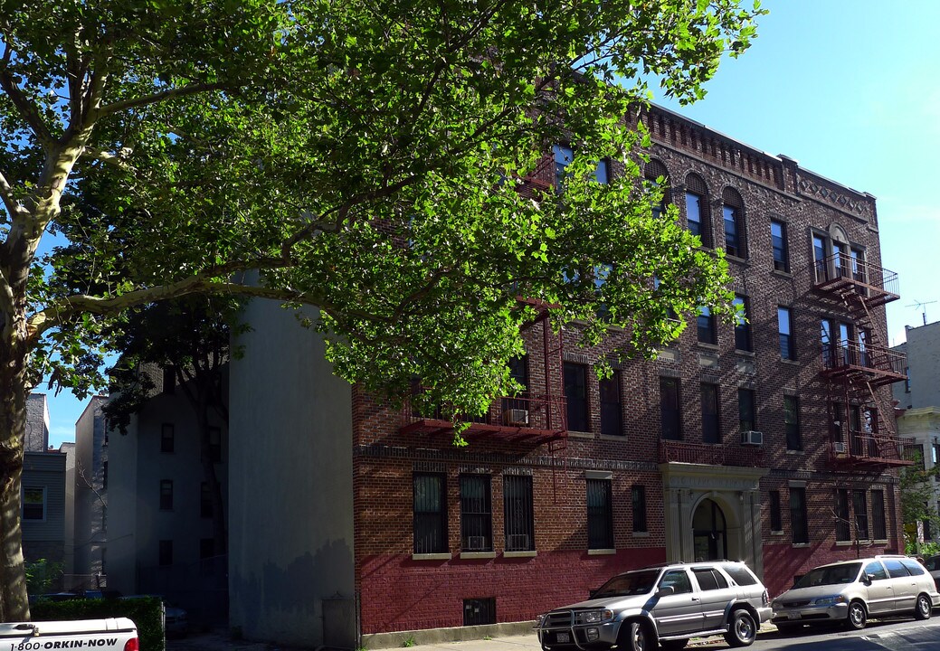 Clarkson Arms in Brooklyn, NY - Building Photo