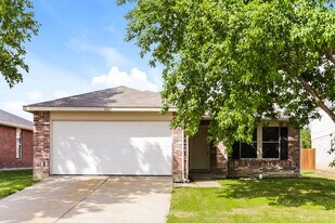 2365 White Pine Dr in Little Elm, TX - Building Photo