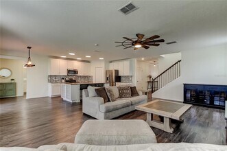 30943 Parrot Reef Ct in Wesley Chapel, FL - Building Photo - Building Photo