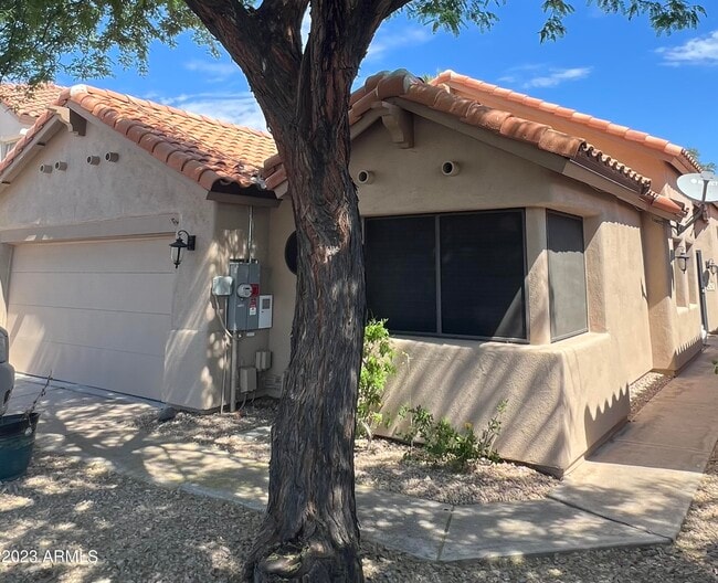 property at 3534 E Verbena Dr