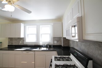 119 Albion St, Unit 1 in Somerville, MA - Building Photo - Building Photo