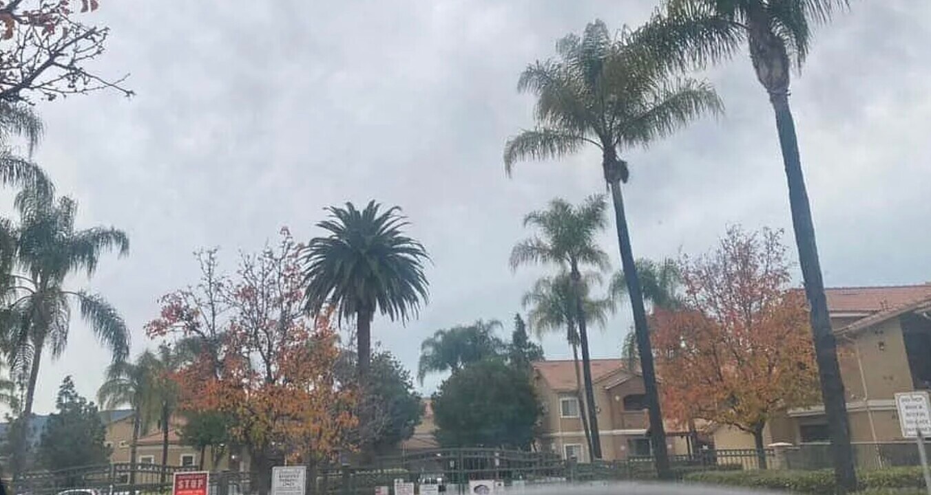 24909 Madison Ave in Murrieta, CA - Building Photo