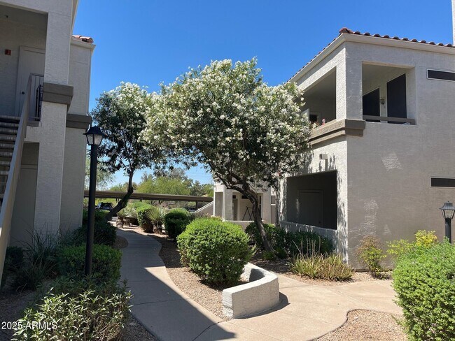 property at 11375 E Sahuaro Dr