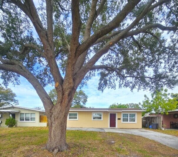 4041 67th Ave N in Pinellas Park, FL - Building Photo