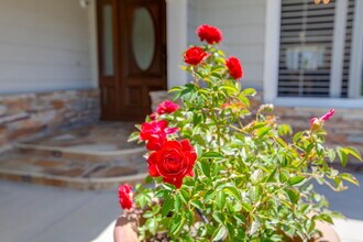 7446 Trigo Ln in Carlsbad, CA - Building Photo - Building Photo