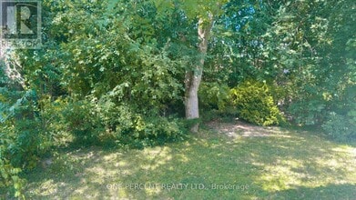 131 Paperbirch Crescent in London, ON - Building Photo - Building Photo