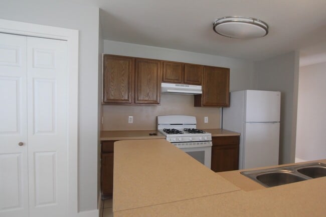 19507 Winston Hill Dr in Cypress, TX - Building Photo - Building Photo