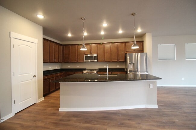 5267 Honeycomb Ave in Timnath, CO - Building Photo - Building Photo