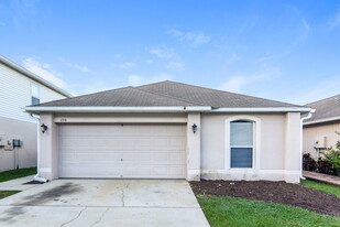 6516 Tabogi Trail in Wesley Chapel, FL - Building Photo