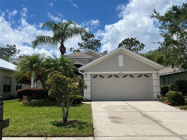 property at 3207 Banyan Hill Ln