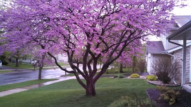 3101 Dorchester Way in Madison, WI - Foto de edificio - Building Photo