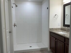 10435 Carloway Hills Dr in Wimauma, FL - Building Photo - Building Photo