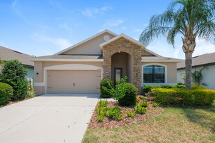 12524 Ballentrae Forest Dr in Riverview, FL - Building Photo
