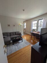 370 Chestnut Hill Ave in Boston, MA - Building Photo - Building Photo