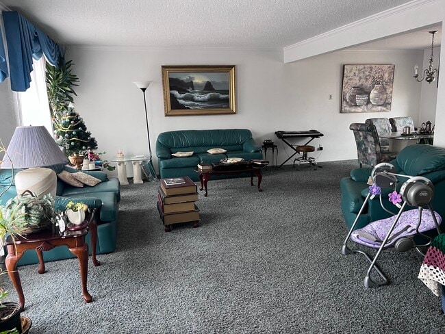 property at 1 Harrogate Terrace