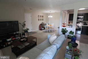 115 Brookland Terrace in Winchester, VA - Building Photo