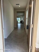 325 Caryota Ct in New Smyrna Beach, FL - Building Photo - Building Photo