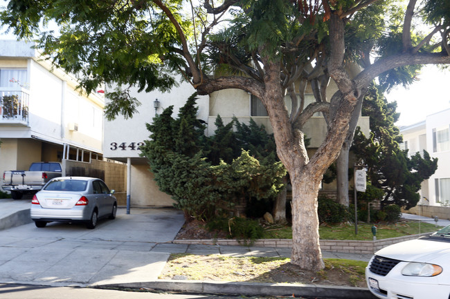 3442 Jasmine Ave in Los Angeles, CA - Foto de edificio - Building Photo