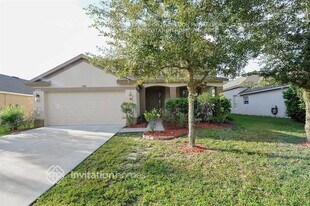 31052 Creekridge Dr in Wesley Chapel, FL - Building Photo