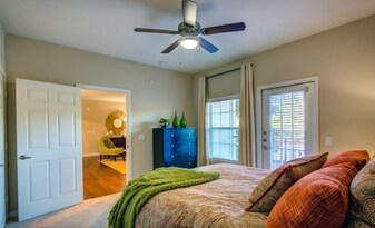 2951 N Loop 336 W in Conroe, TX - Building Photo