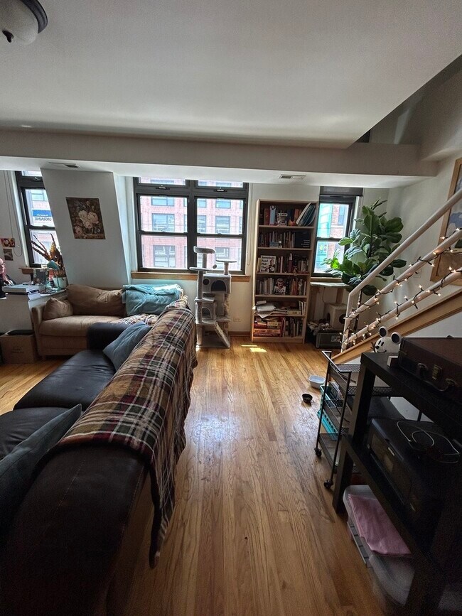 867 W Buckingham Pl in Chicago, IL - Building Photo - Building Photo