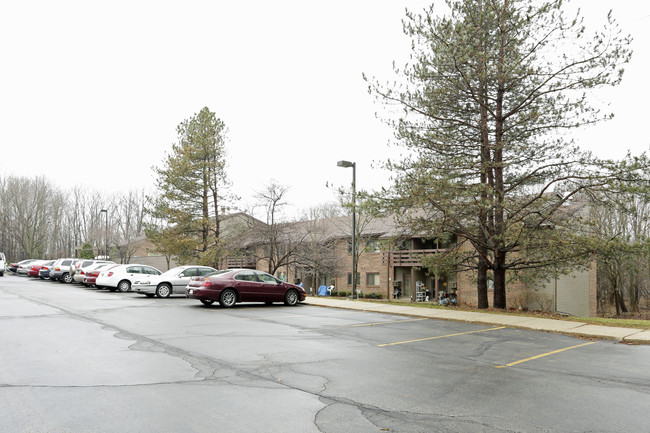 Richter Place Apartments in Rockford, MI - Building Photo - Building Photo