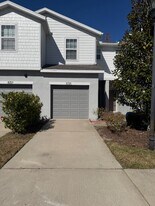 8725 Turnstone Haven Pl in Tampa, FL - Building Photo