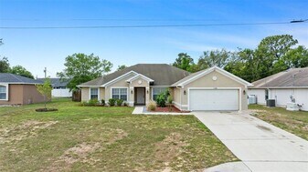 11366 Riddle Dr in Spring Hill, FL - Building Photo