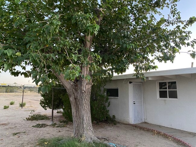 property at 25573 Jasper Rd