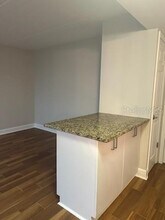 3325 Bayshore Blvd in Tampa, FL - Building Photo - Building Photo